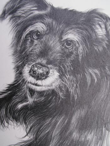 Benson