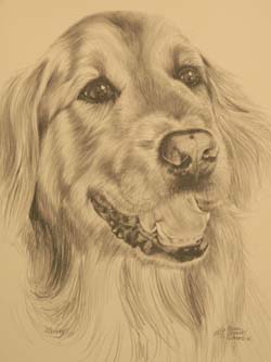 Harvey commissioned pencil drawing