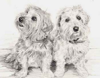 Poppy and Jemmima commissioned pencil drawing